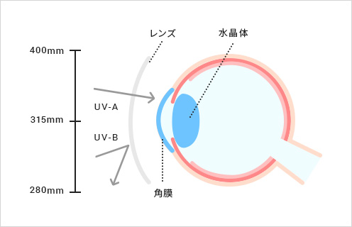 UVカット加工のレンズの画像